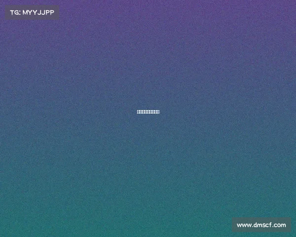 艾莎战队:破晓锋芒